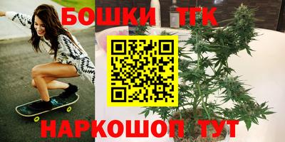 стафф Лесосибирск