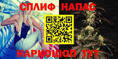 стафф Лесосибирск