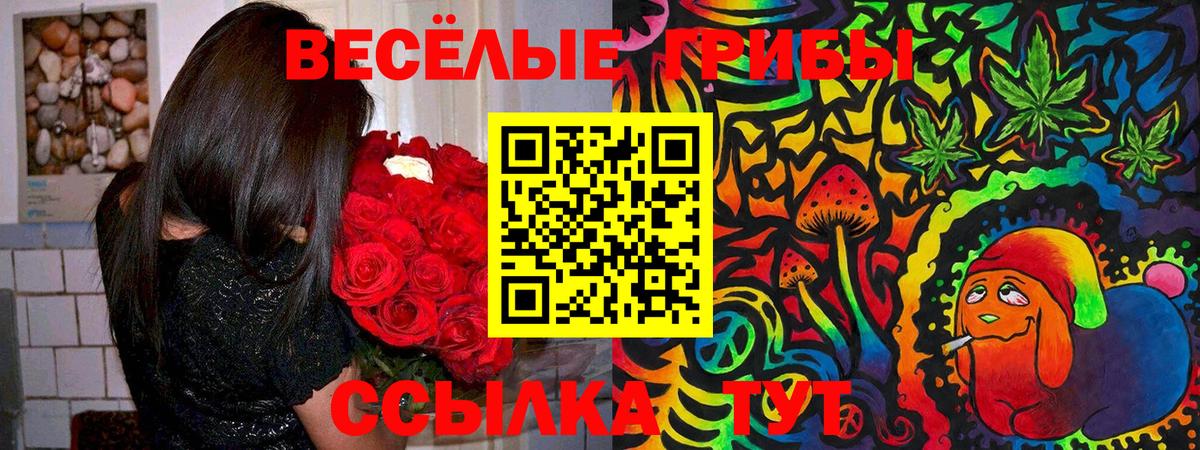 магазин продажи   Галлюциногенные грибы прущие грибы  Вход с VPN  Галлюциногенные грибы мицелий  Вышний Волочёк 